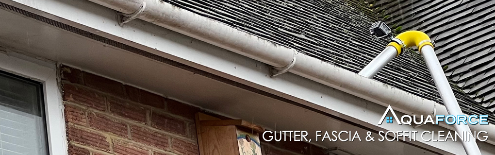 Gutter Cleaning